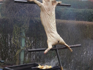 Spanferkel nach Asado Art am Kreuz auf dem Lachsgrill (roh)