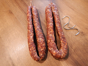 Salamis nach zwei Wochen