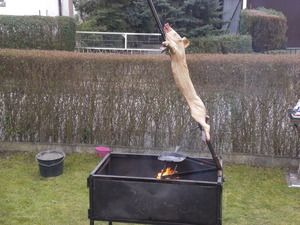 Spanferkel nach Asado Art am Kreuz auf dem Lachsgrill (roh)