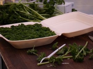 Mehrere Juryschalen mit Petersilie in Vorbereitung
