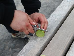 Limette wird mit dem Taschenmesser geschnitten