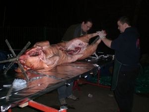 Hendrik (links) und Dennis (rechts) montieren ein Schwein auf einen Spieß - es ist noch dunkel draußen