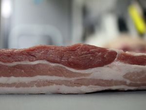 Parierter Schweinebauch ohne Schwarte