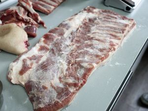 Schweinebauch mit Pökelsalz-Mischung eingerieben