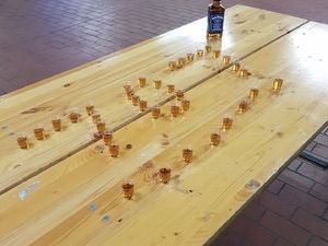 Viele gefüllte Schnapsgläser auf einer Bierbank