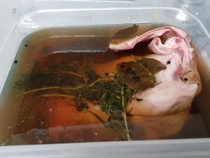 Schweinekopf in Lake mit Kräutern